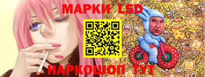 spice Моздок