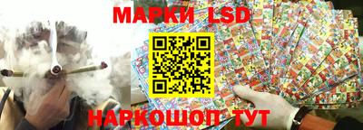 spice Моздок