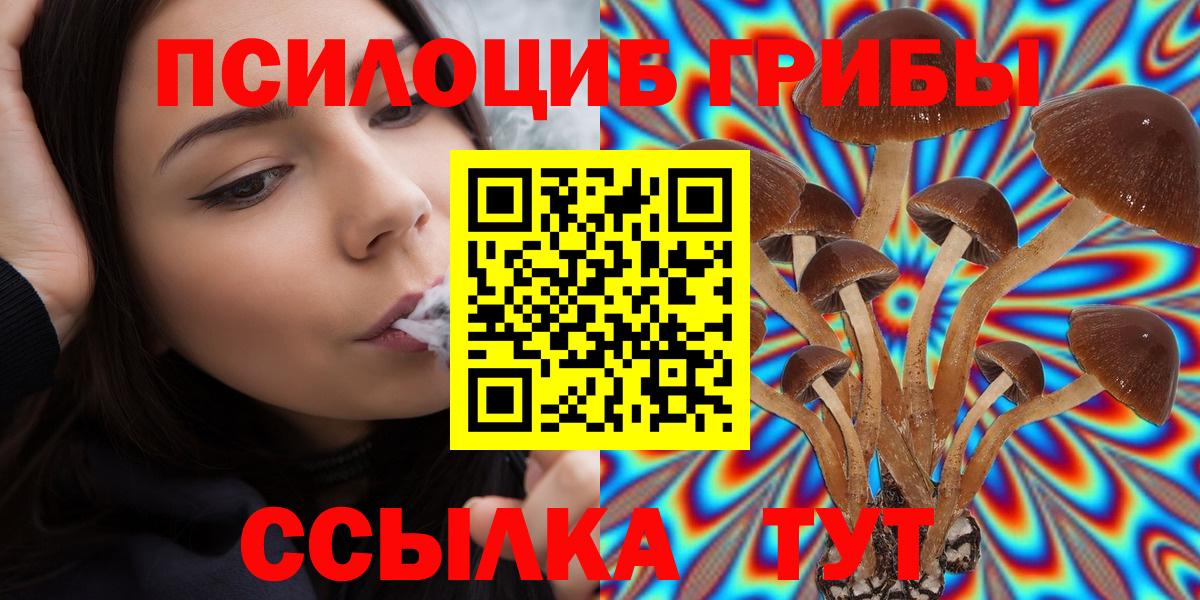 Псилоцибиновые грибы прущие грибы  где купить наркотик  Янаул  Вход с VPN  Галлюциногенные грибы GOLDEN TEACHER 
